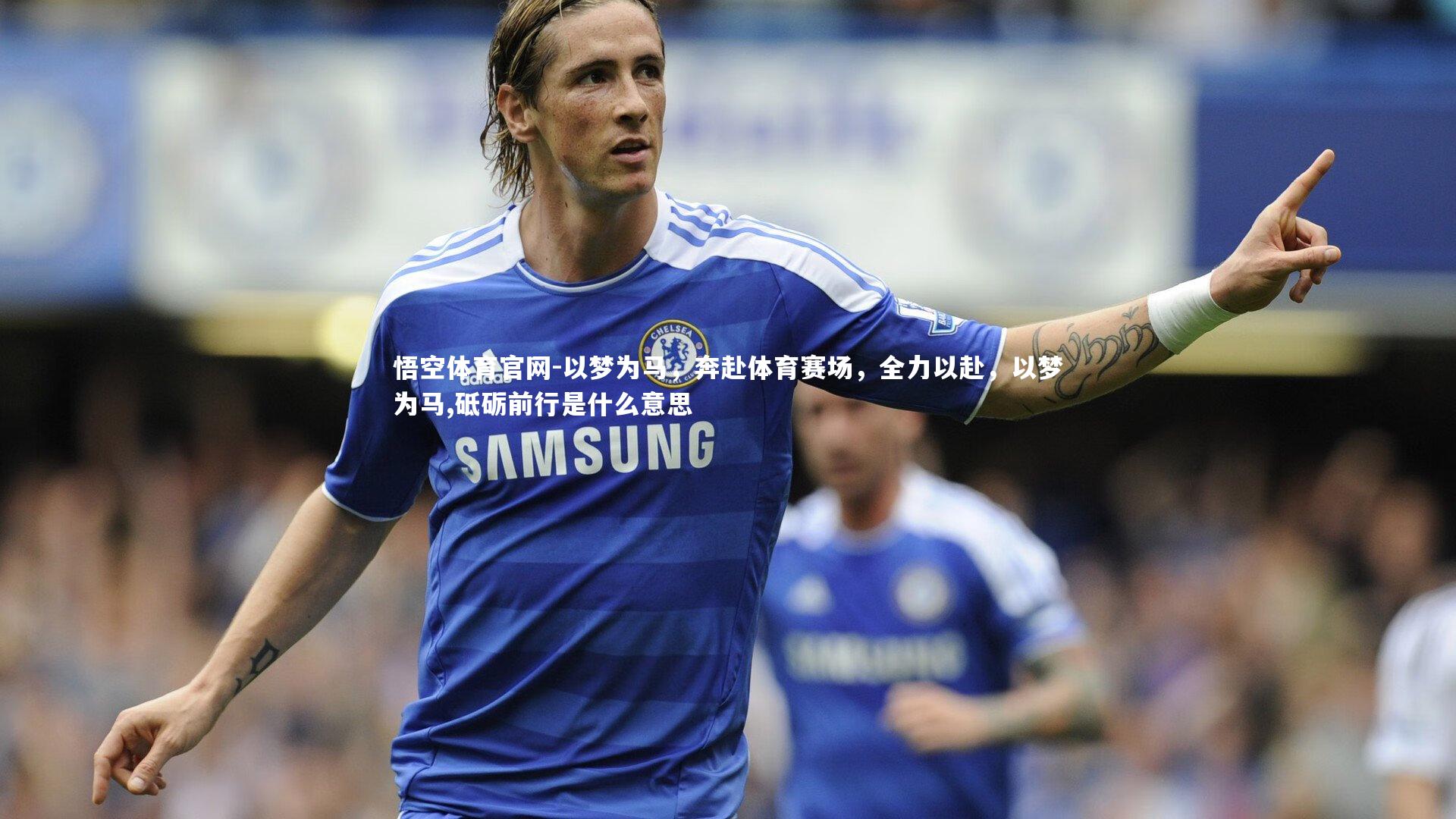 以梦为马，奔赴体育赛场，全力以赴，以梦为马,砥砺前行是什么意思