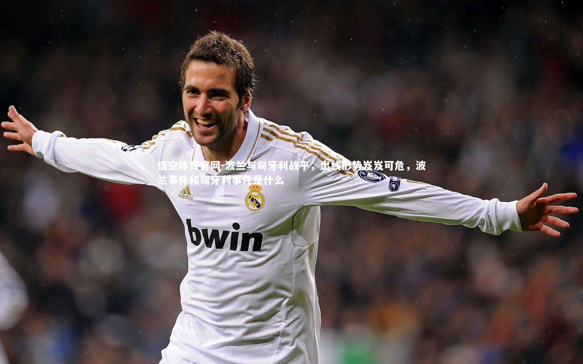 波兰与匈牙利战平，出线形势岌岌可危，波兰事件和匈牙利事件是什么